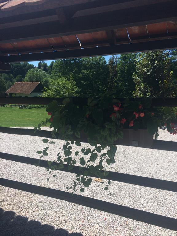 Gostisce Smuk Hotel Krize Bagian luar foto
